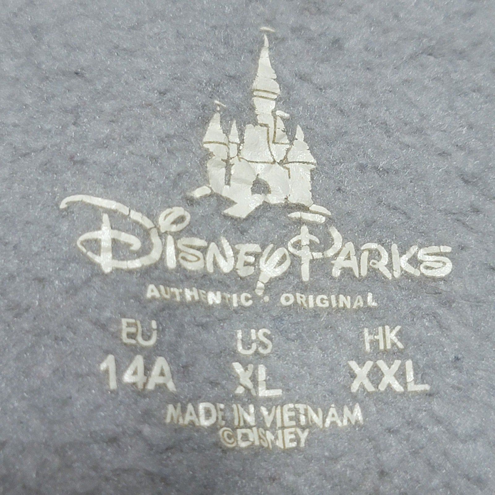 Disney Parks Youth LS Grey & Blue Pull-Over Hoodie "Worlds" - Size Junior XL