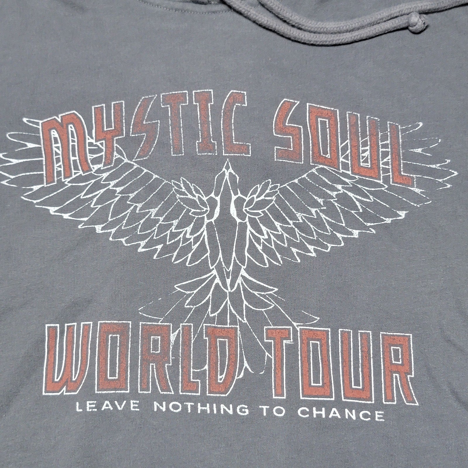 Hollister LS Dark Grey Crop Hoodie "Mystic Soul World Tour" - Size XS