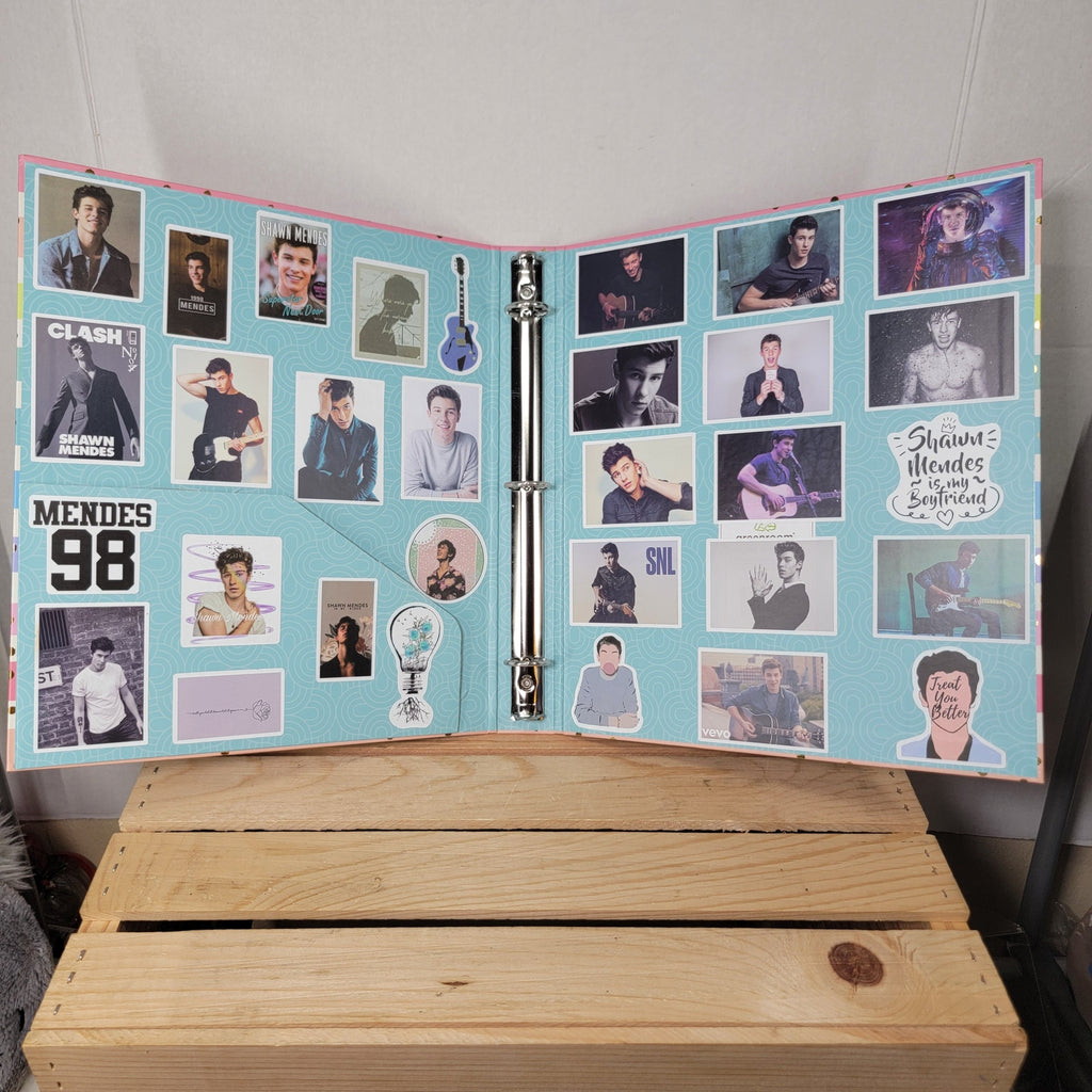 Shawn Mendez Stickered 1.5" Binder "Bad Reputation"