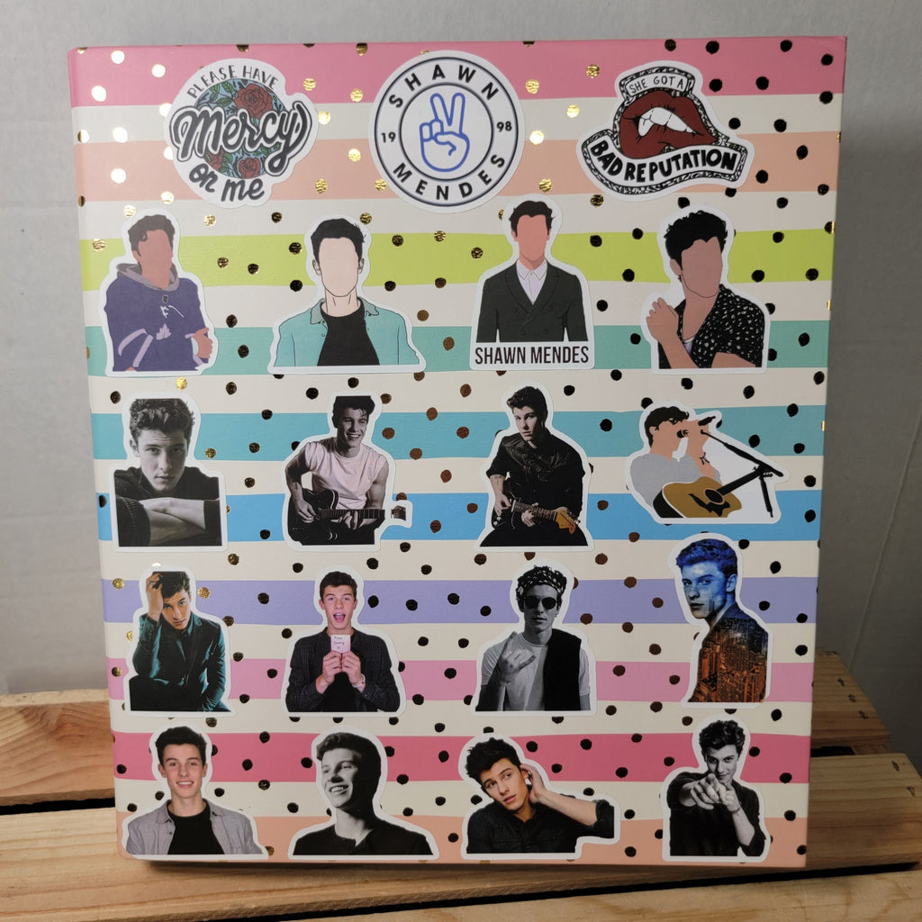 Shawn Mendez Stickered 1.5" Binder "Bad Reputation"