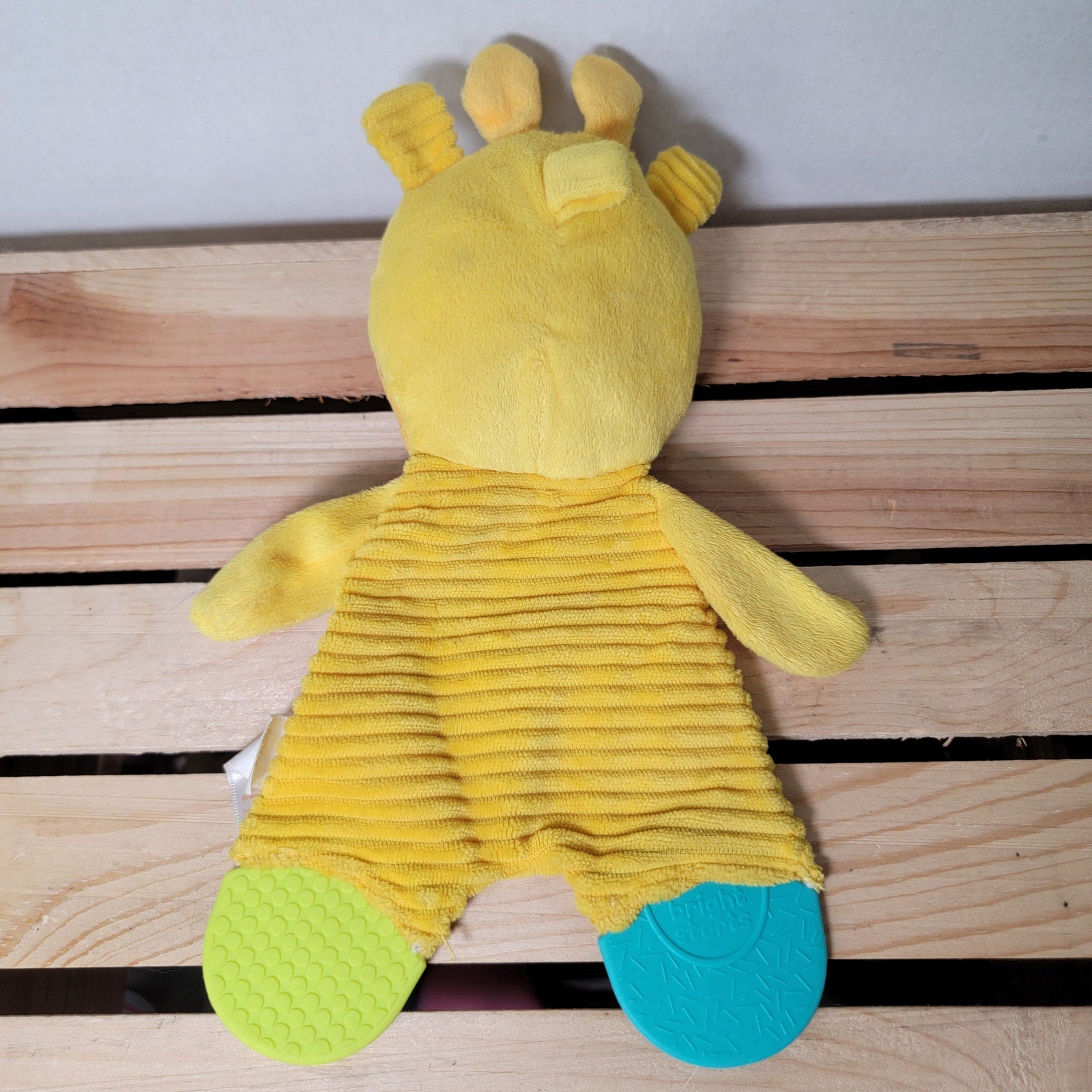Bright Starts Infant Snuggle & Teethe Giraffe Plush Toy