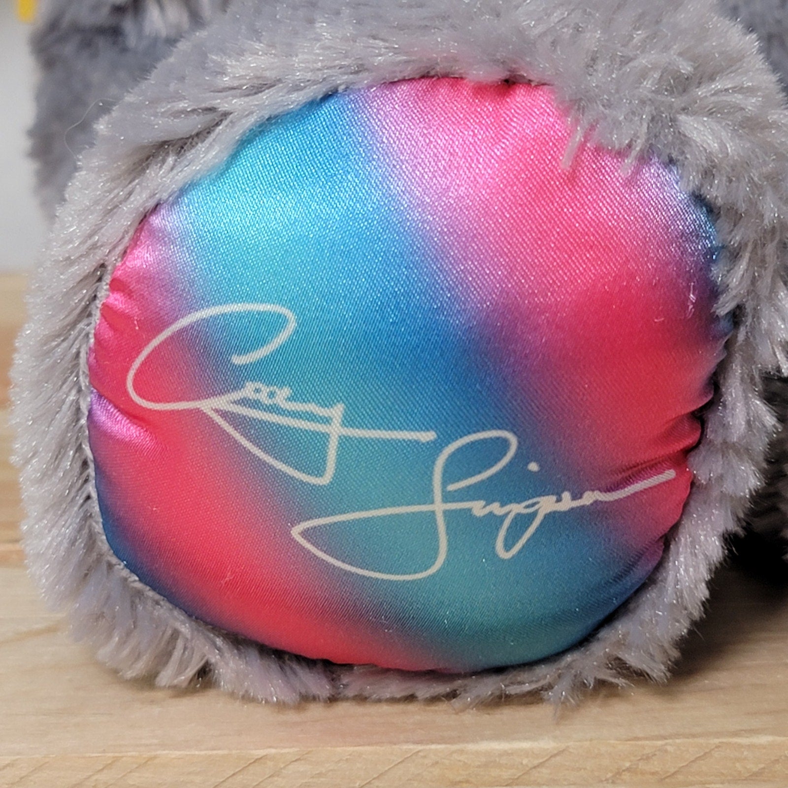 RETIRED Build-A-Bear Cody Simpson Koala Bear Plush