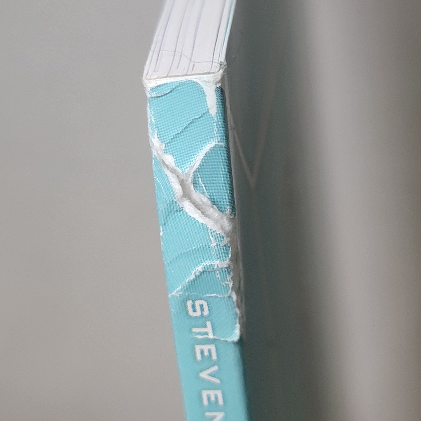 BOOK BTS Rise Of Bangtan (paperback)