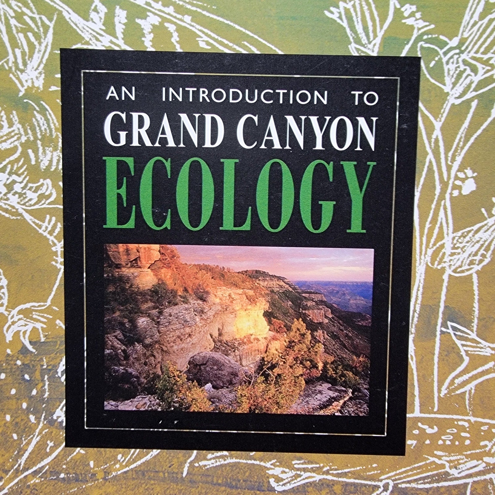 BOOKS Set of 3 An Introduction To Grand Canyon: Prehistory, Geology & Ecology