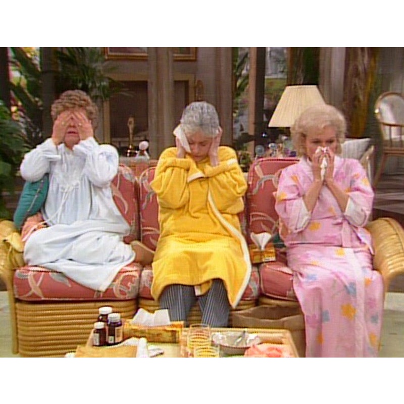 DVD The Golden Girls Complete Series (Seasons 1-7) - New / SEALED