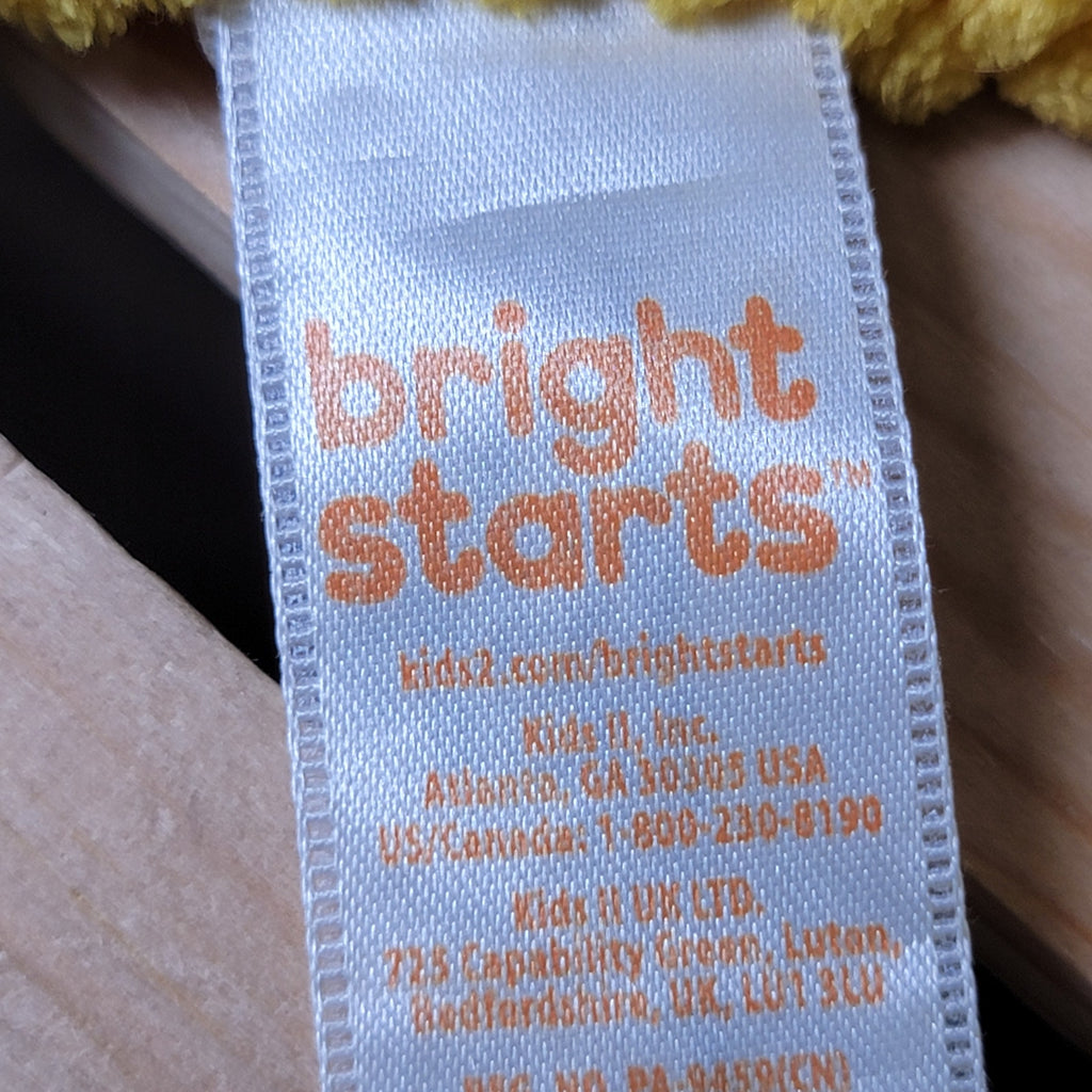 Bright Starts Infant Snuggle & Teethe Giraffe Plush Toy