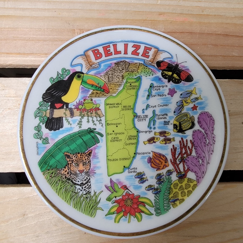American Gift Collector Series Belize Collectors Plate 4.25"