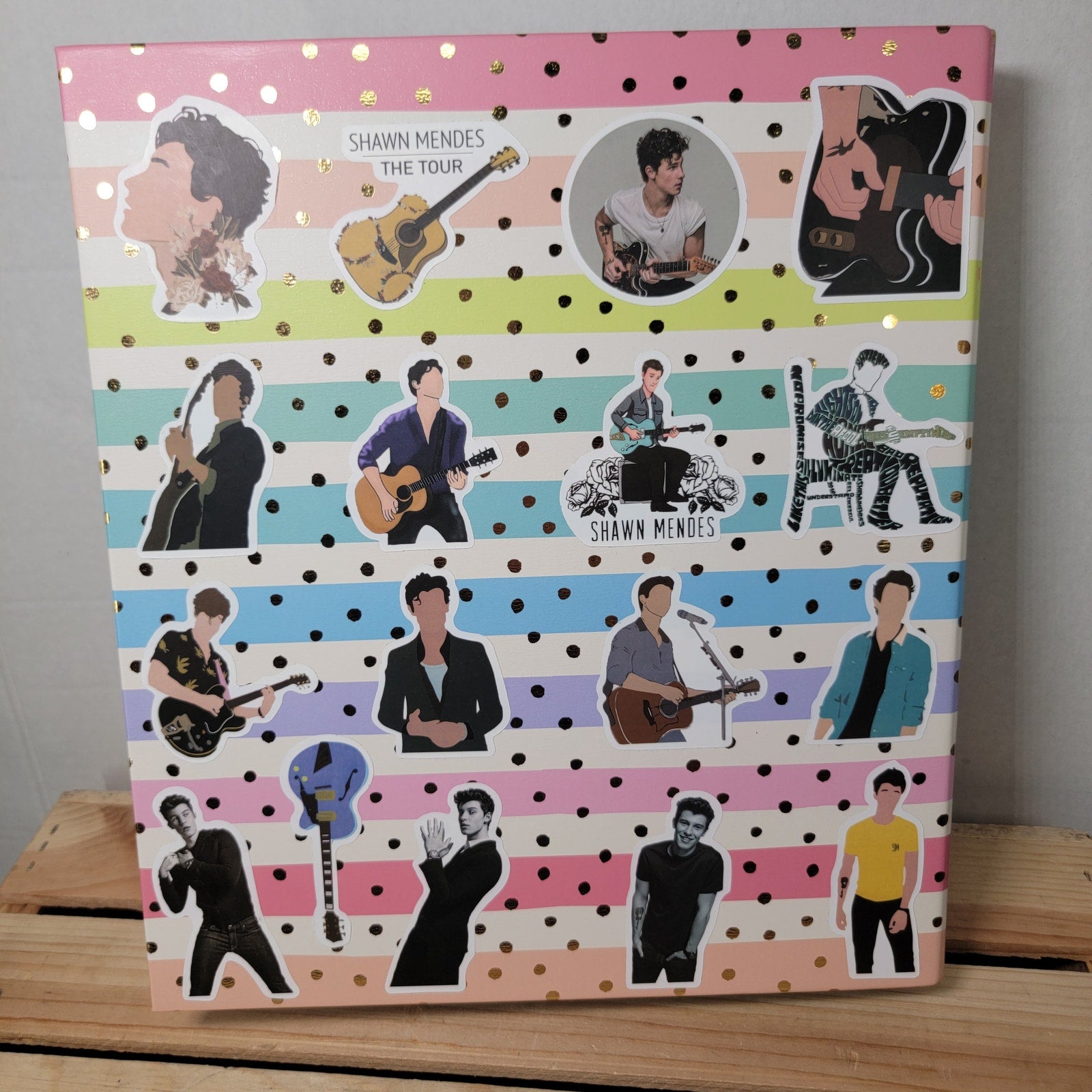 Shawn Mendez Stickered 1.5" Binder "Bad Reputation"