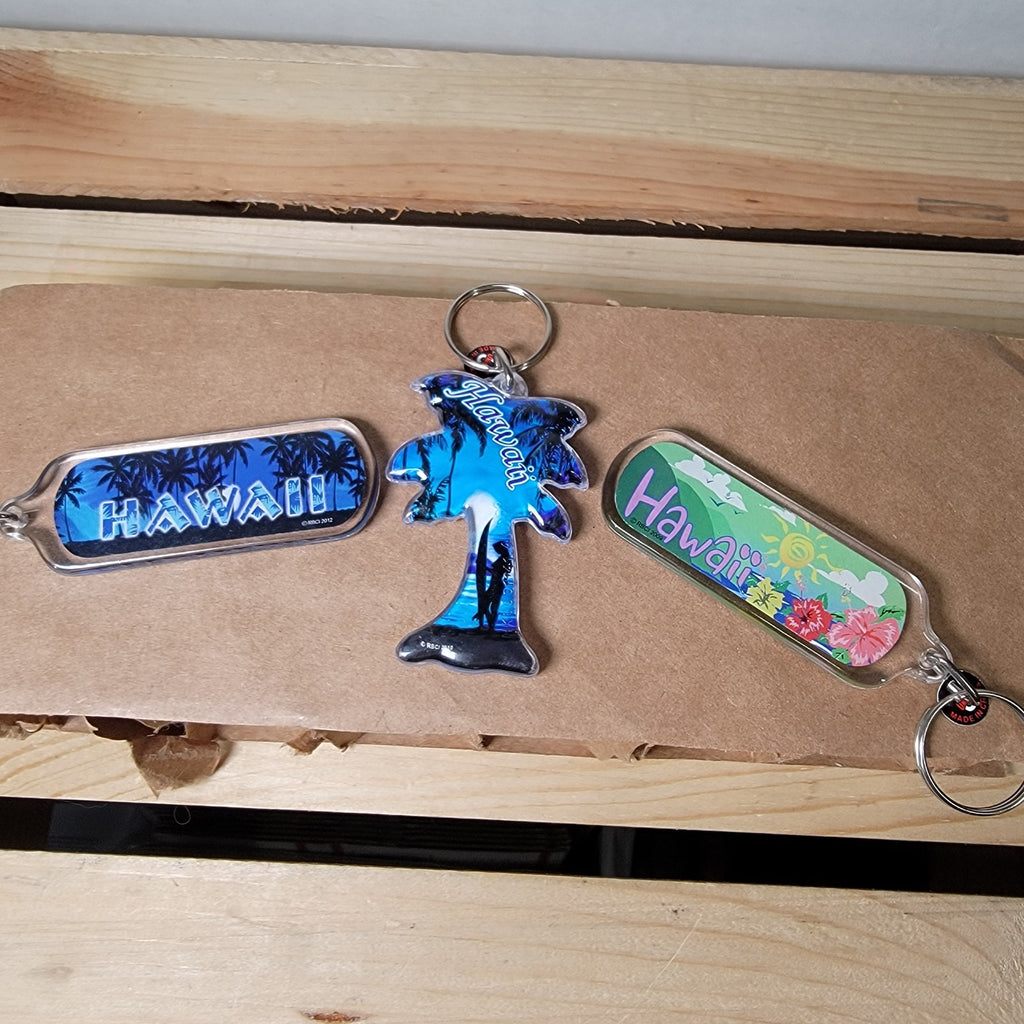 Set of 3 Hawaii Plastic Keychains