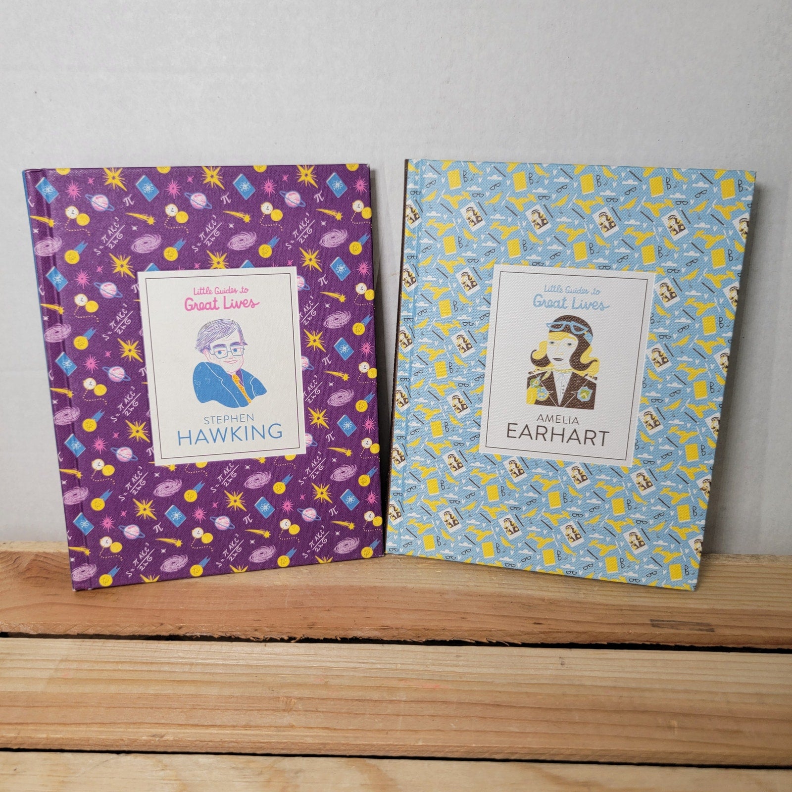 Set of 2 Little Guides To Great Lives: Amelia Earhart & Stephen Hawking