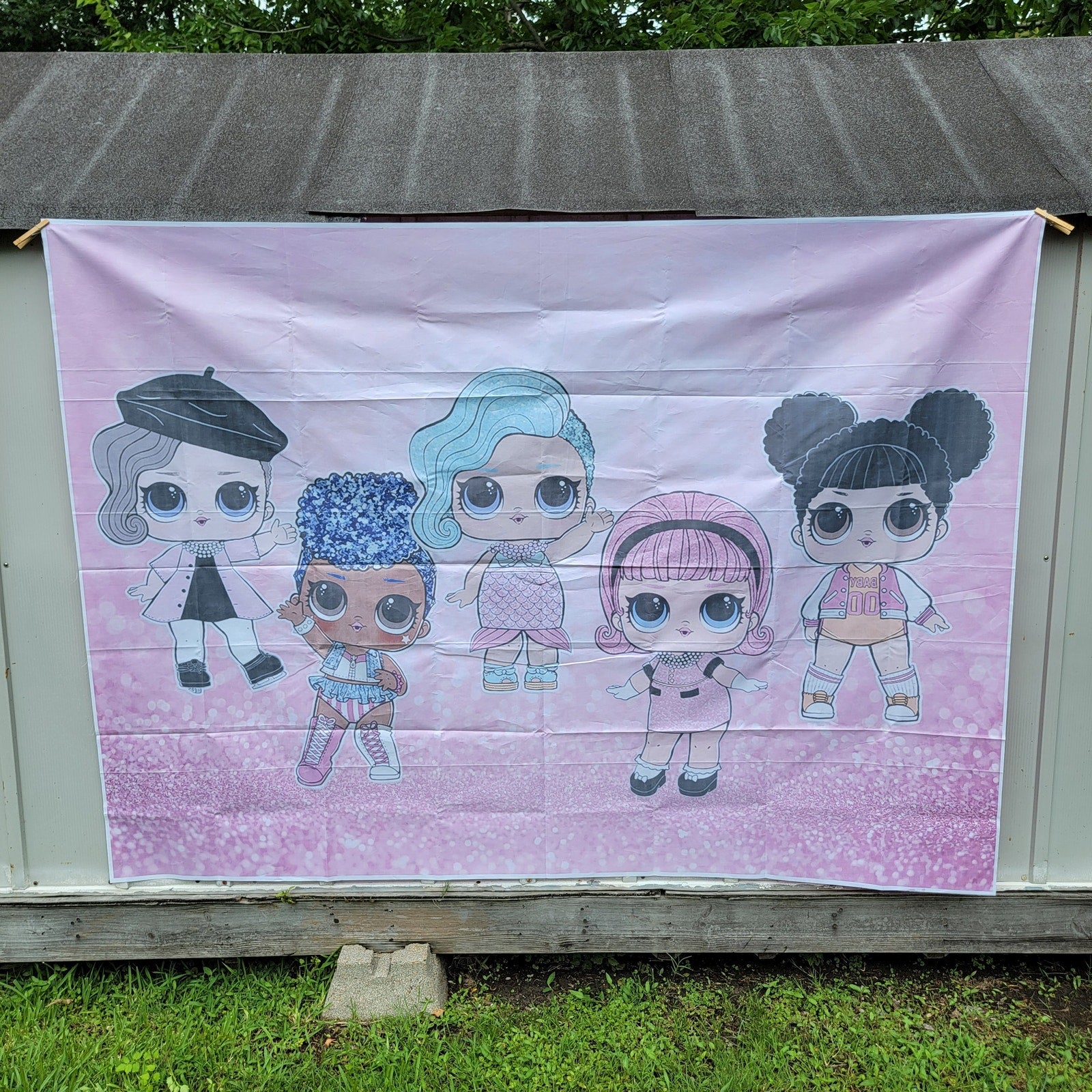 L.O.L. Surprise Backdrop Banner 60" x 82"