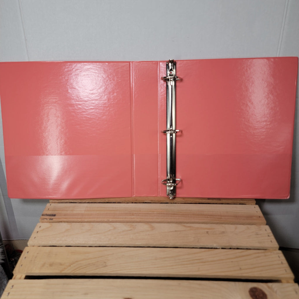 BT21 Stickered Orange 1.5" Binder