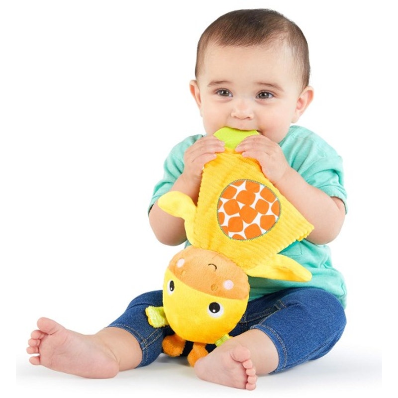 Bright Starts Infant Snuggle & Teethe Giraffe Plush Toy