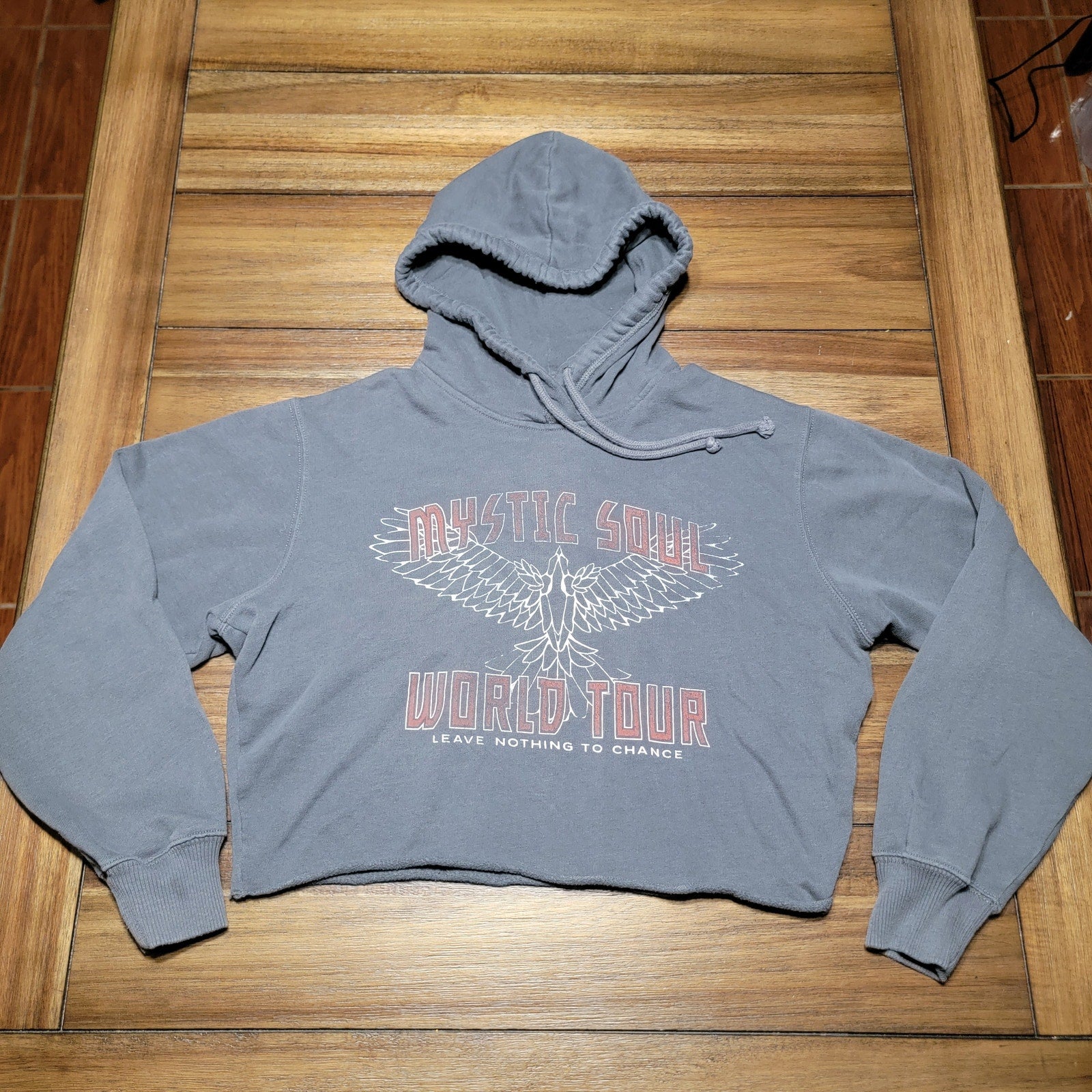 Hollister LS Dark Grey Crop Hoodie "Mystic Soul World Tour" - Size XS