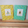 Set of 2 Little Guides To Great Lives: Nelson Mandela & Maya Angelou