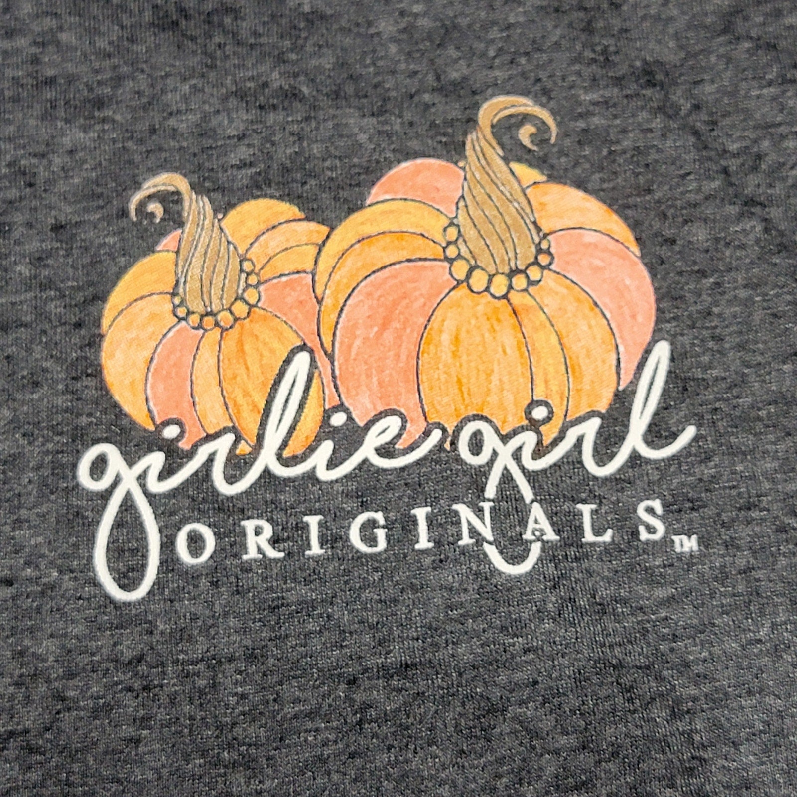 Girlie Girl Originals LS Grey Fall Tee "Pumpkin Kisses..." - Size Large